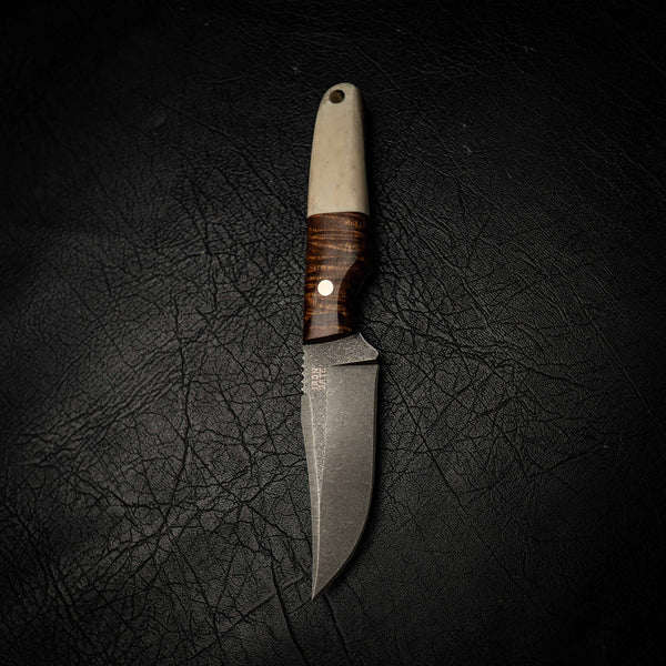 Scout — Fallow Deer Antler & Tasmanian Blackwood