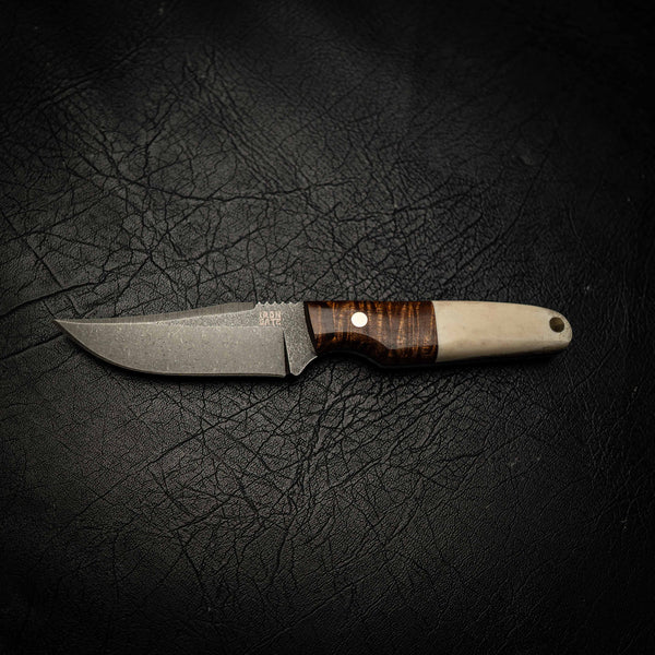Scout — Fallow Deer Antler & Tasmanian Blackwood
