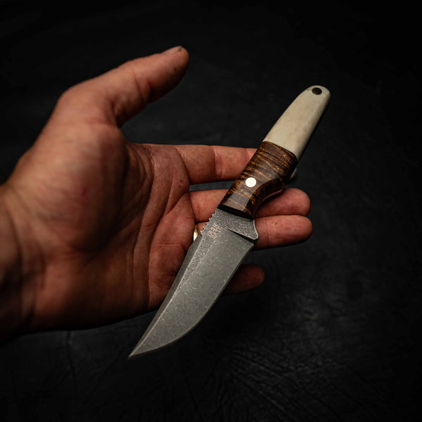 Scout — Fallow Deer Antler & Tasmanian Blackwood