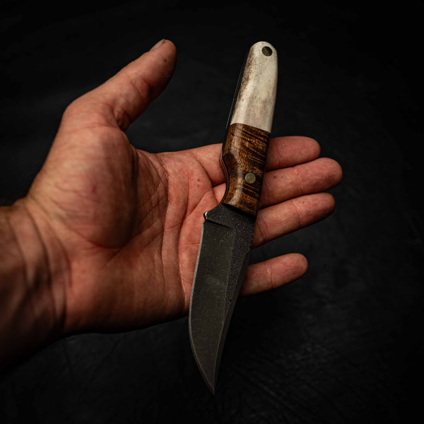 Scout — Fallow Deer Antler & Tasmanian Blackwood