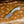 Notch — Full Abalone