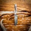 Scout — Deer Antler