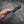 Bushcraft Knife – Dark Stonewash with Solid Ironwood Handle