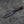 Stonewashed Bear Knife with Australian Western Myall Handle