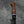 Hunting Knife – Buffalo Horn, White Trustone & Tasmanian Blackwood Handle