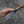 Hunting Knife – Buffalo Horn, White Trustone & Tasmanian Blackwood Handle