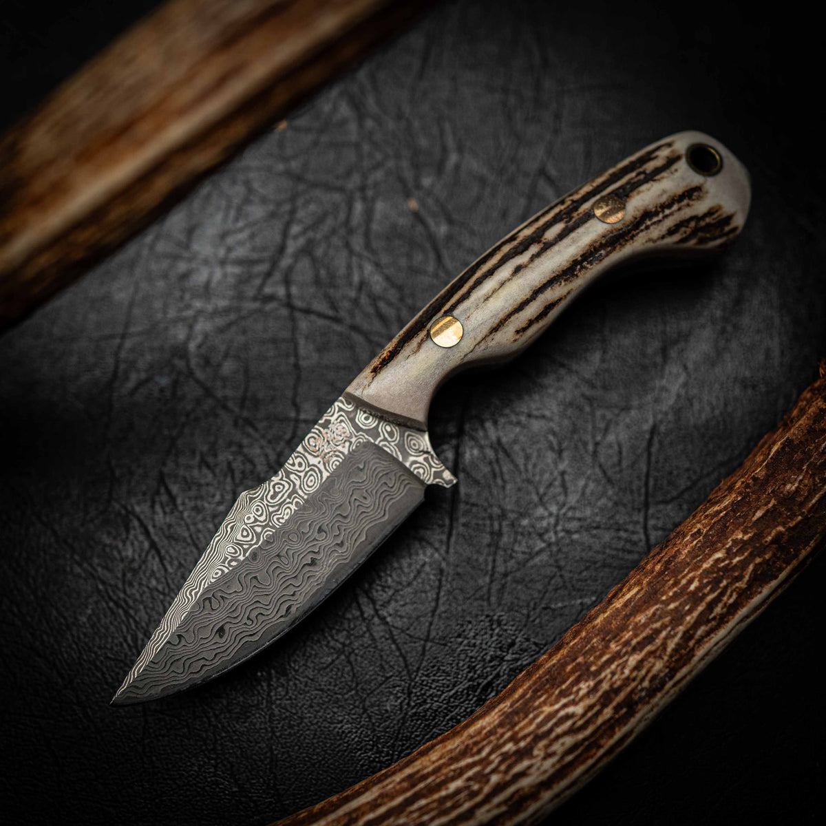 Damascus Mini Hunter – Fallow Deer Antler | Iron Gate Knives ...