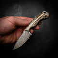 Damascus Mini Hunter – Stainless Damascus | Full Fallow Deer Antler Handle