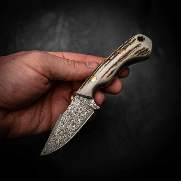 Damascus Mini Hunter – Stainless Damascus | Full Fallow Deer Antler Handle
