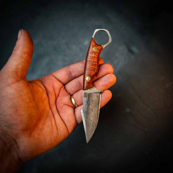 Damascus Mini Hunter — Figured Red Gum