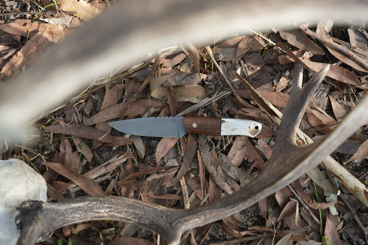 Iron Gate knife on leaf litter beside a deer antler