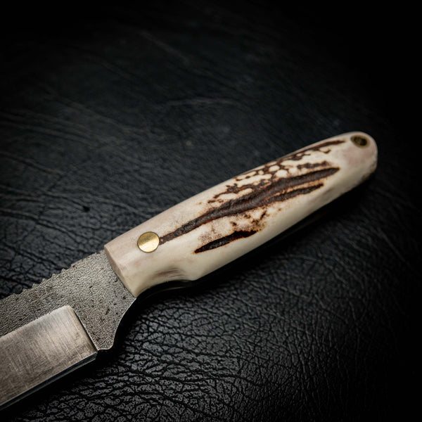 Fallow Antler Scout N690 — vertical orientation showing antler grain